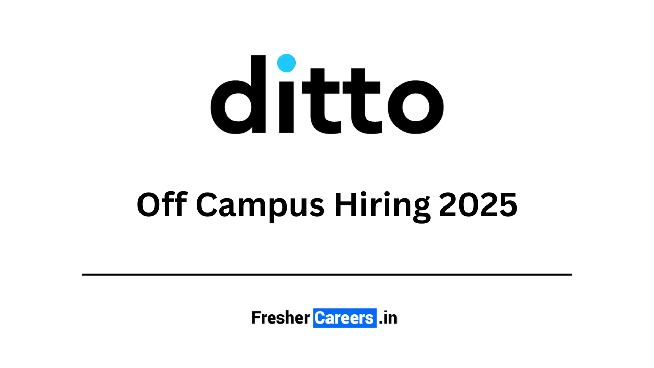 Ditto Off Campus 2024